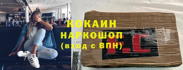 крисы Баксан