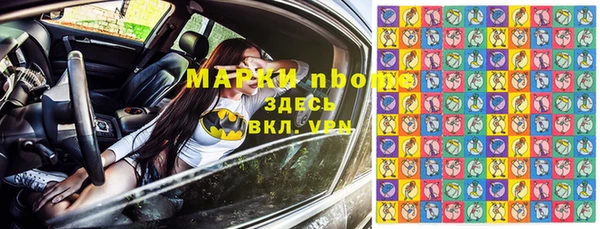 крисы Баксан
