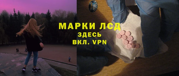 крисы Баксан