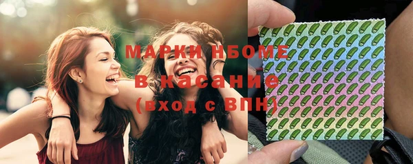 крисы Баксан