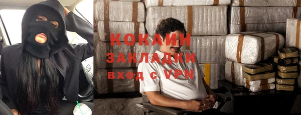 крисы Баксан